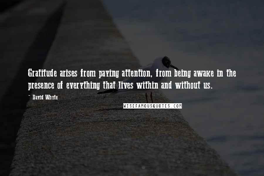 David Whyte Quotes: Gratitude arises from paying attention, from being awake in the presence of everything that lives within and without us.