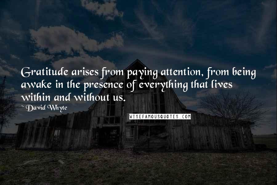 David Whyte Quotes: Gratitude arises from paying attention, from being awake in the presence of everything that lives within and without us.