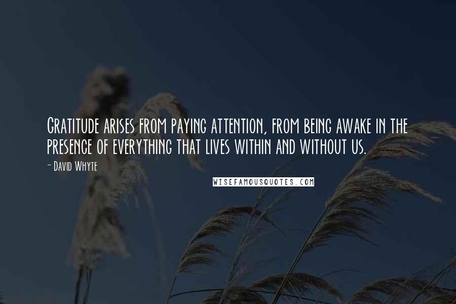 David Whyte Quotes: Gratitude arises from paying attention, from being awake in the presence of everything that lives within and without us.