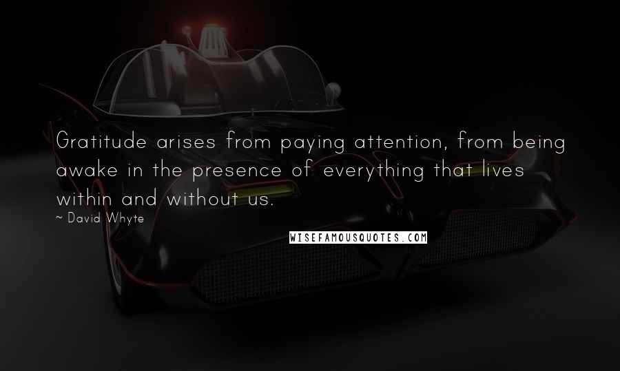 David Whyte Quotes: Gratitude arises from paying attention, from being awake in the presence of everything that lives within and without us.