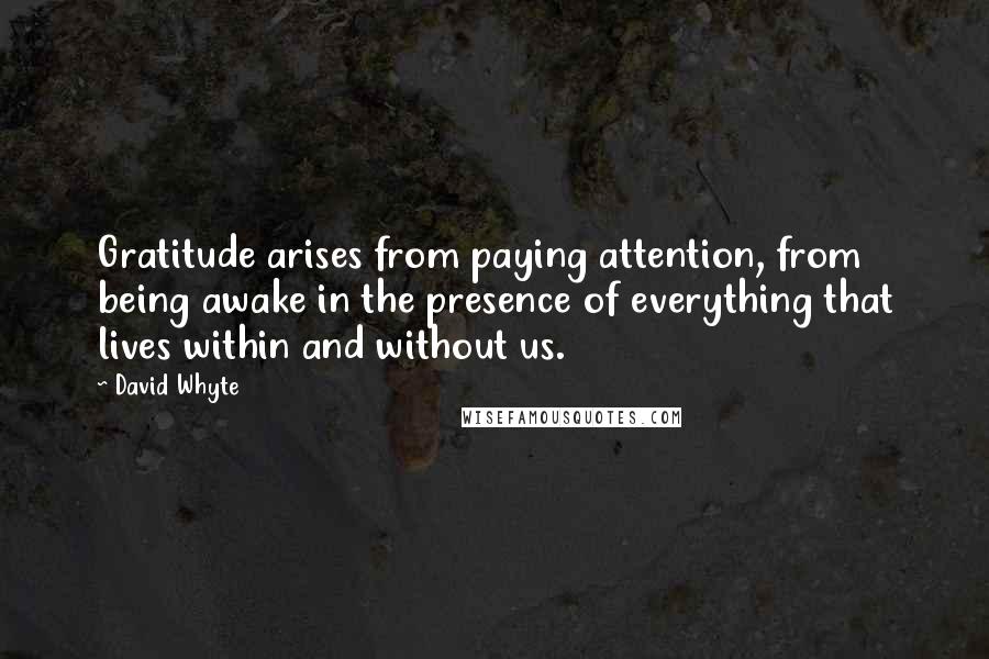 David Whyte Quotes: Gratitude arises from paying attention, from being awake in the presence of everything that lives within and without us.