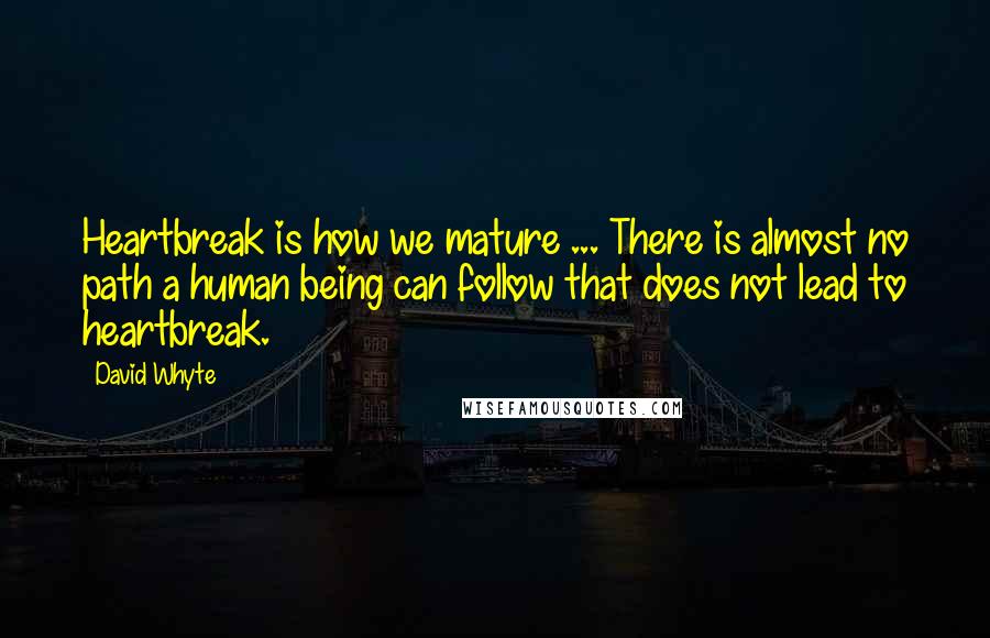 David Whyte Quotes: Heartbreak is how we mature ... There is almost no path a human being can follow that does not lead to heartbreak.