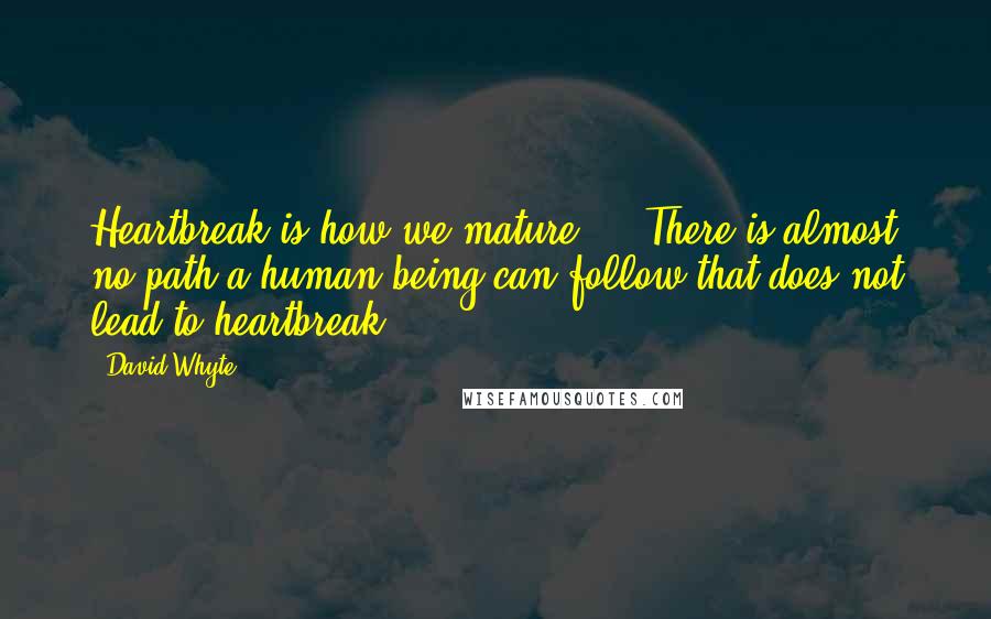 David Whyte Quotes: Heartbreak is how we mature ... There is almost no path a human being can follow that does not lead to heartbreak.