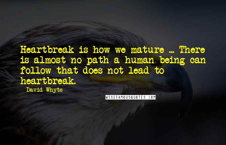 David Whyte Quotes: Heartbreak is how we mature ... There is almost no path a human being can follow that does not lead to heartbreak.