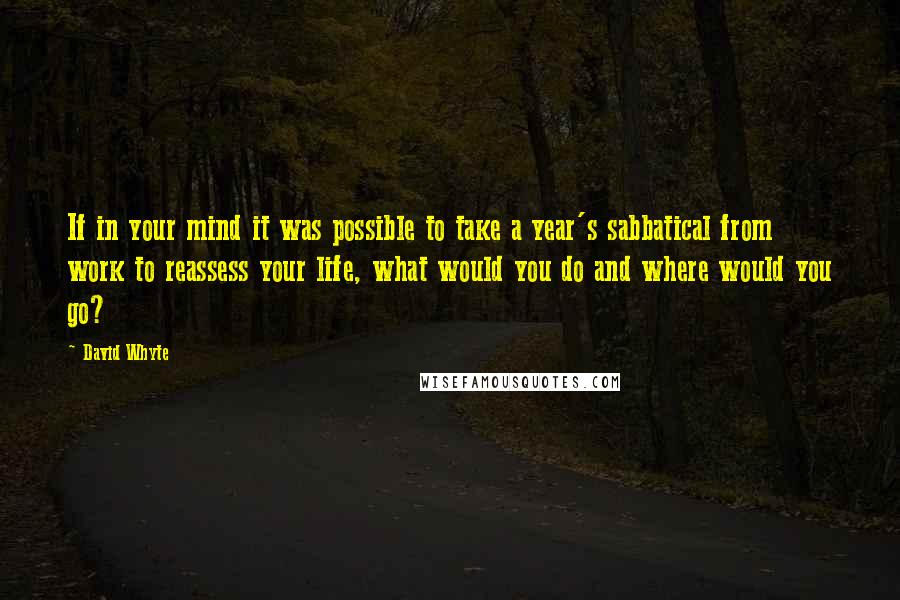 David Whyte Quotes: If in your mind it was possible to take a year's sabbatical from work to reassess your life, what would you do and where would you go?