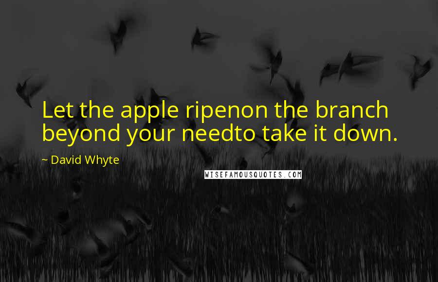 David Whyte Quotes: Let the apple ripenon the branch beyond your needto take it down.