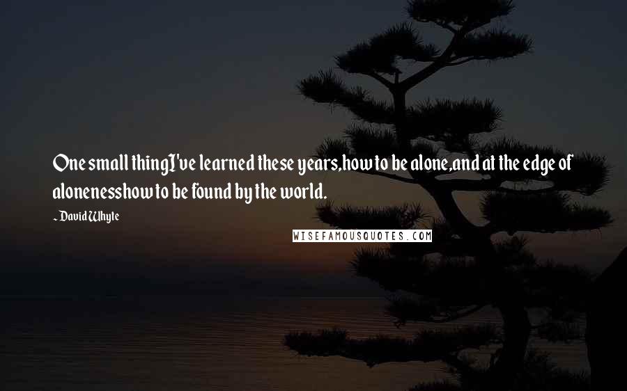David Whyte Quotes: One small thingI've learned these years,how to be alone,and at the edge of alonenesshow to be found by the world.