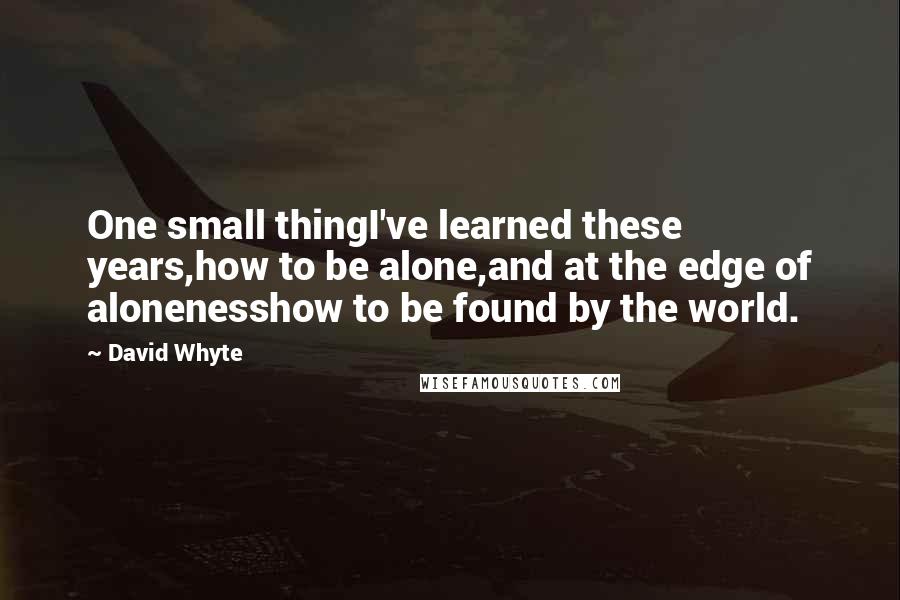 David Whyte Quotes: One small thingI've learned these years,how to be alone,and at the edge of alonenesshow to be found by the world.