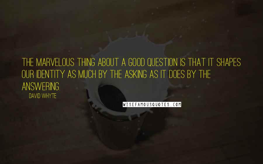 David Whyte Quotes: The marvelous thing about a good question is that it shapes our identity as much by the asking as it does by the answering.