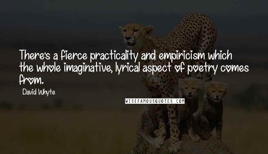 David Whyte Quotes: There's a fierce practicality and empiricism which the whole imaginative, lyrical aspect of poetry comes from.