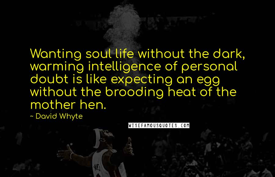 David Whyte Quotes: Wanting soul life without the dark, warming intelligence of personal doubt is like expecting an egg without the brooding heat of the mother hen.