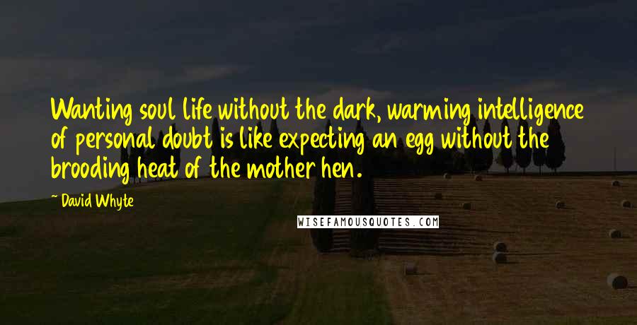 David Whyte Quotes: Wanting soul life without the dark, warming intelligence of personal doubt is like expecting an egg without the brooding heat of the mother hen.