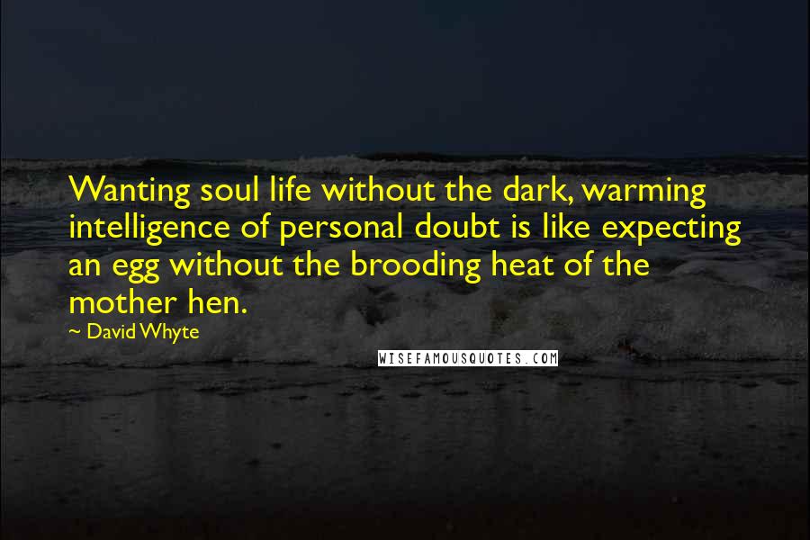 David Whyte Quotes: Wanting soul life without the dark, warming intelligence of personal doubt is like expecting an egg without the brooding heat of the mother hen.