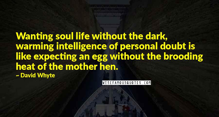 David Whyte Quotes: Wanting soul life without the dark, warming intelligence of personal doubt is like expecting an egg without the brooding heat of the mother hen.