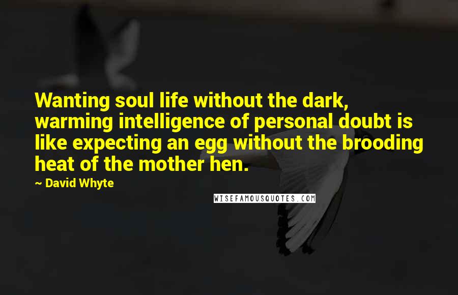 David Whyte Quotes: Wanting soul life without the dark, warming intelligence of personal doubt is like expecting an egg without the brooding heat of the mother hen.