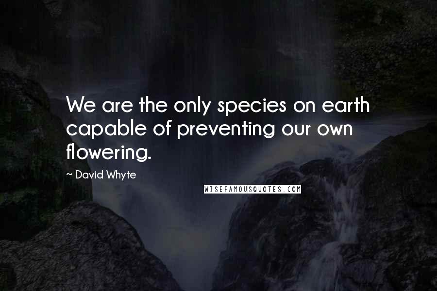 David Whyte Quotes: We are the only species on earth capable of preventing our own flowering.