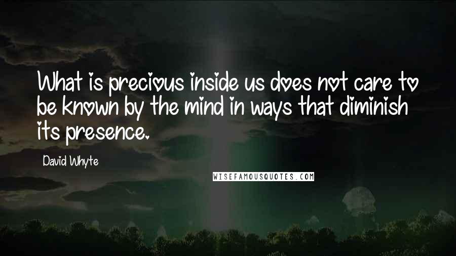 David Whyte Quotes: What is precious inside us does not care to be known by the mind in ways that diminish its presence.