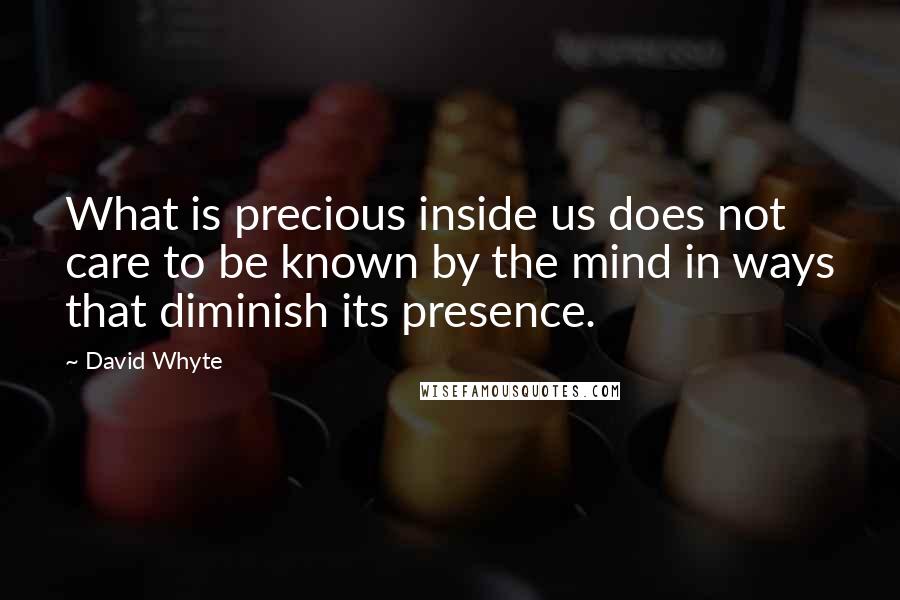 David Whyte Quotes: What is precious inside us does not care to be known by the mind in ways that diminish its presence.