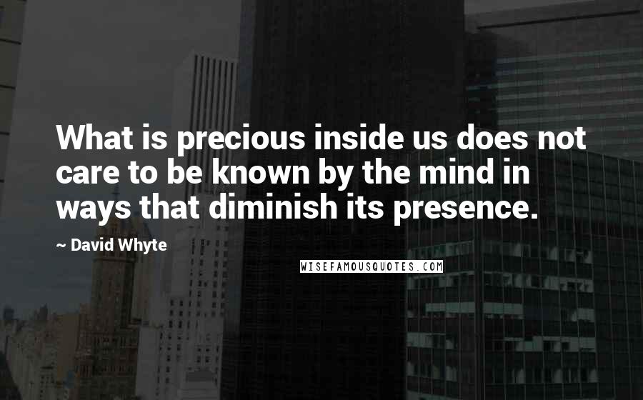 David Whyte Quotes: What is precious inside us does not care to be known by the mind in ways that diminish its presence.