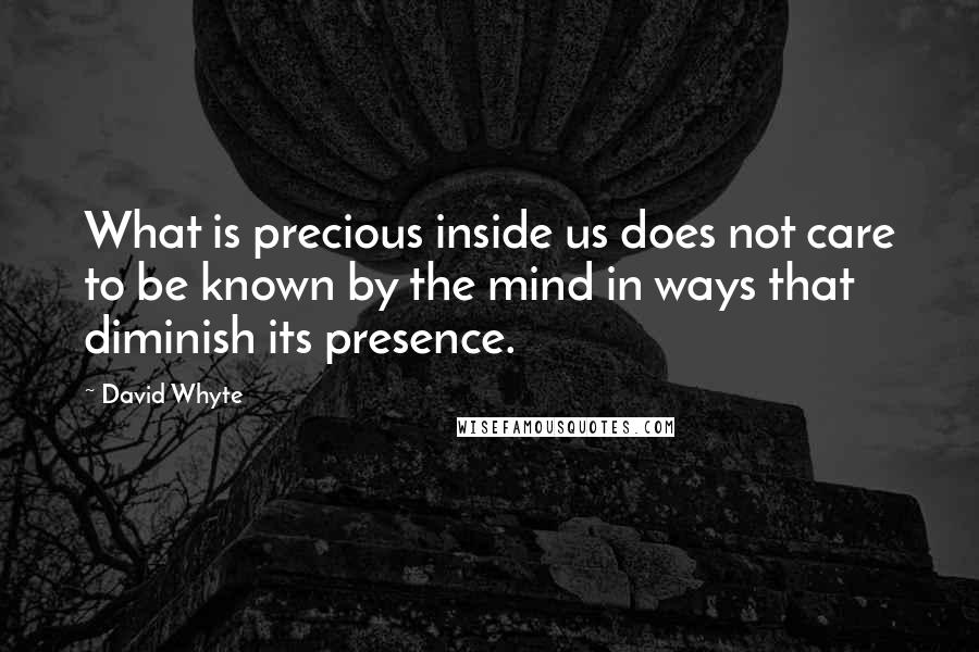 David Whyte Quotes: What is precious inside us does not care to be known by the mind in ways that diminish its presence.