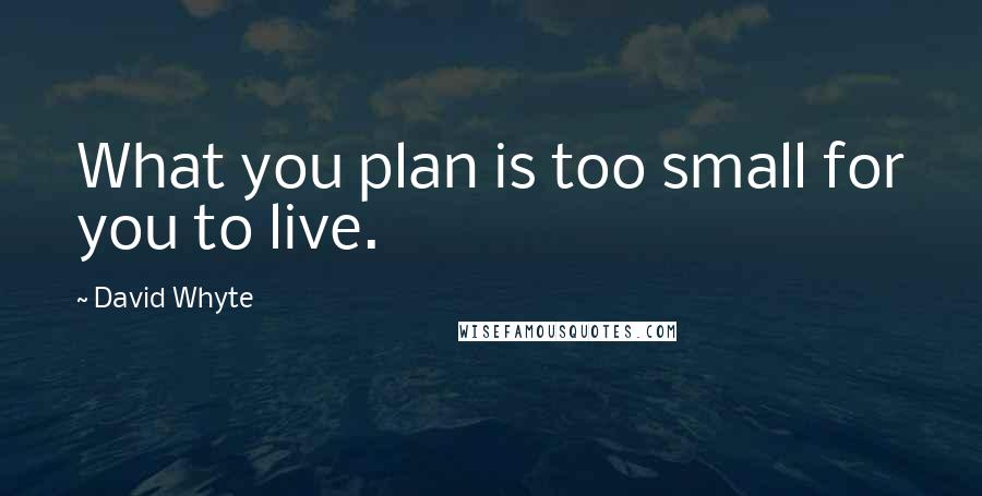 David Whyte Quotes: What you plan is too small for you to live.