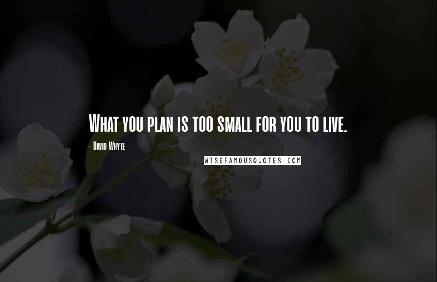 David Whyte Quotes: What you plan is too small for you to live.