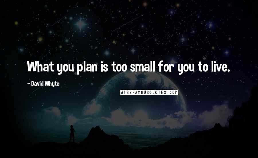 David Whyte Quotes: What you plan is too small for you to live.