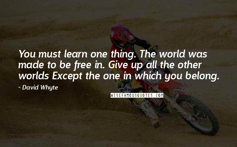 David Whyte Quotes: You must learn one thing. The world was made to be free in. Give up all the other worlds Except the one in which you belong.