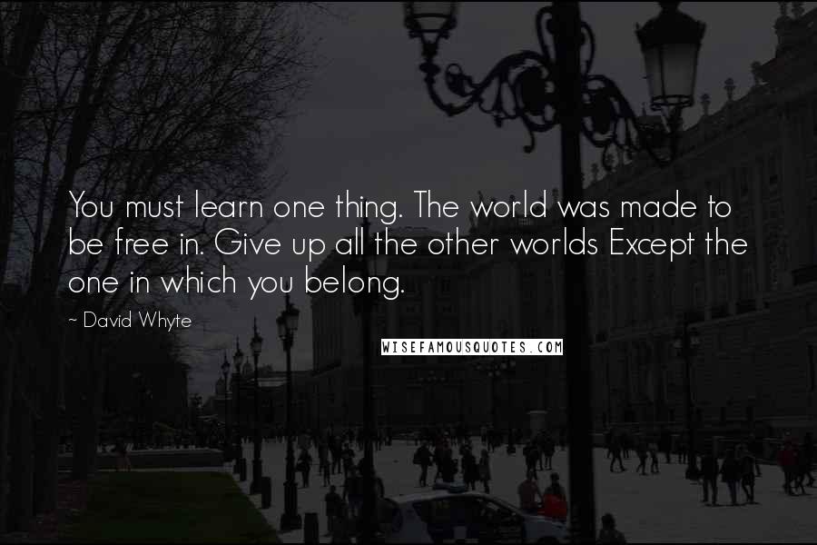 David Whyte Quotes: You must learn one thing. The world was made to be free in. Give up all the other worlds Except the one in which you belong.