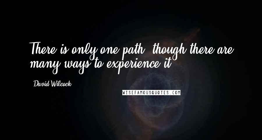 David Wilcock Quotes: There is only one path, though there are many ways to experience it.