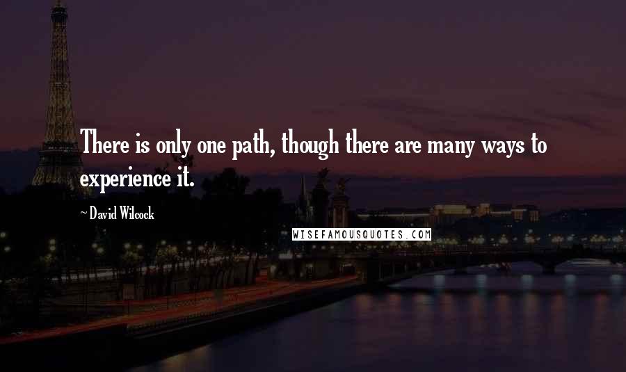 David Wilcock Quotes: There is only one path, though there are many ways to experience it.