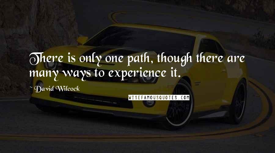 David Wilcock Quotes: There is only one path, though there are many ways to experience it.