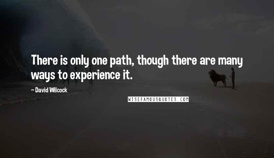 David Wilcock Quotes: There is only one path, though there are many ways to experience it.