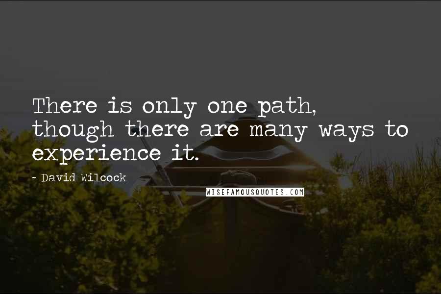 David Wilcock Quotes: There is only one path, though there are many ways to experience it.