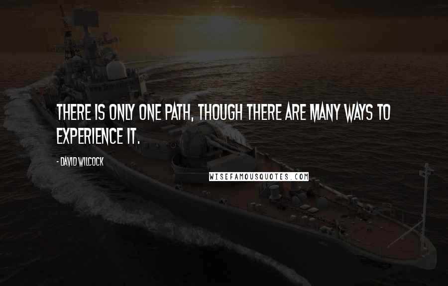 David Wilcock Quotes: There is only one path, though there are many ways to experience it.