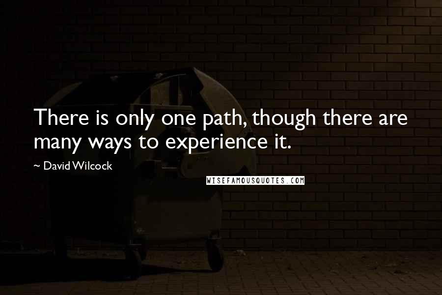 David Wilcock Quotes: There is only one path, though there are many ways to experience it.