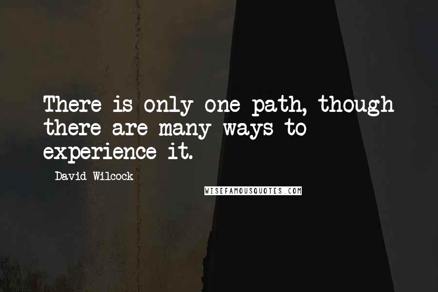 David Wilcock Quotes: There is only one path, though there are many ways to experience it.