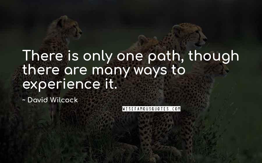 David Wilcock Quotes: There is only one path, though there are many ways to experience it.