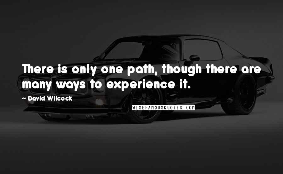 David Wilcock Quotes: There is only one path, though there are many ways to experience it.