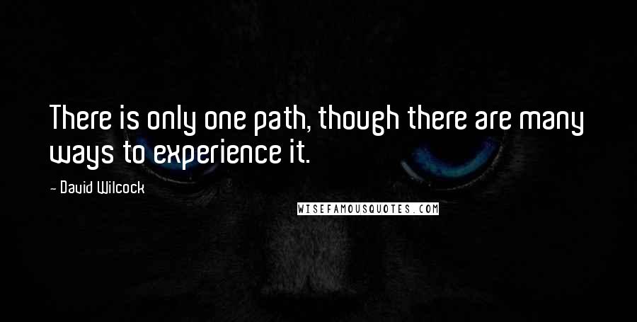 David Wilcock Quotes: There is only one path, though there are many ways to experience it.