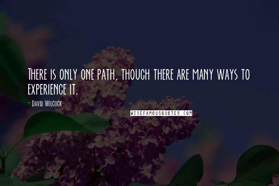 David Wilcock Quotes: There is only one path, though there are many ways to experience it.