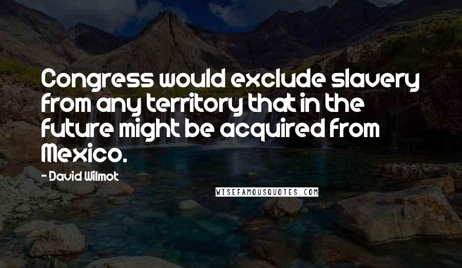 David Wilmot Quotes: Congress would exclude slavery from any territory that in the future might be acquired from Mexico.