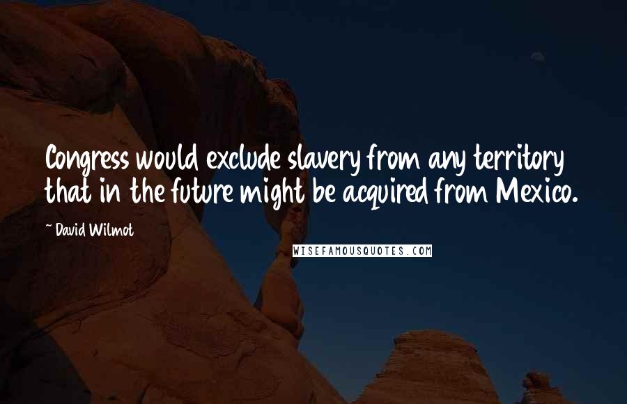 David Wilmot Quotes: Congress would exclude slavery from any territory that in the future might be acquired from Mexico.