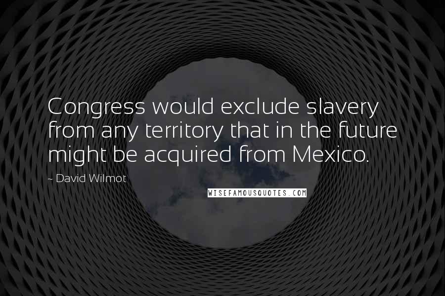 David Wilmot Quotes: Congress would exclude slavery from any territory that in the future might be acquired from Mexico.