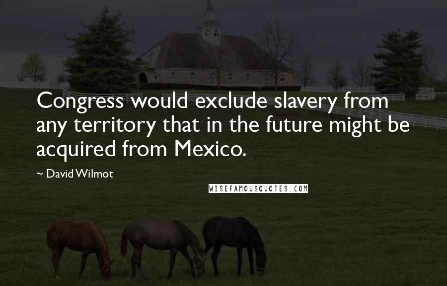 David Wilmot Quotes: Congress would exclude slavery from any territory that in the future might be acquired from Mexico.