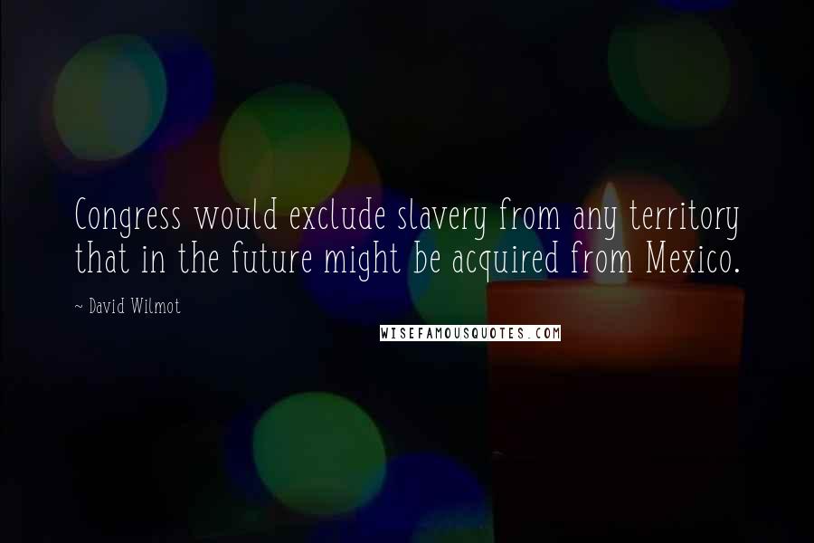 David Wilmot Quotes: Congress would exclude slavery from any territory that in the future might be acquired from Mexico.