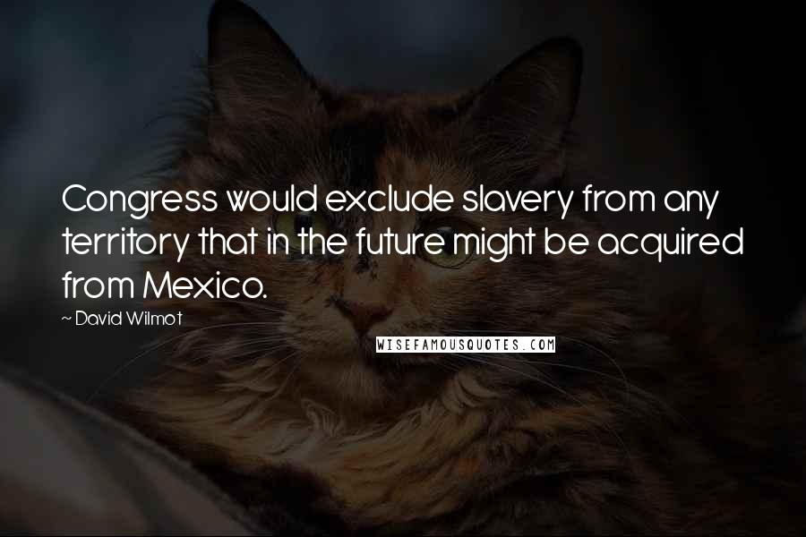 David Wilmot Quotes: Congress would exclude slavery from any territory that in the future might be acquired from Mexico.