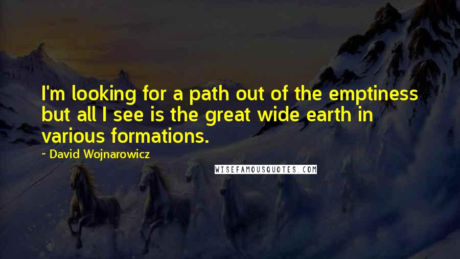 David Wojnarowicz Quotes: I'm looking for a path out of the emptiness but all I see is the great wide earth in various formations.