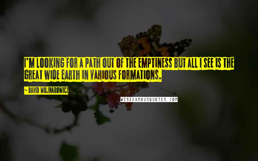 David Wojnarowicz Quotes: I'm looking for a path out of the emptiness but all I see is the great wide earth in various formations.