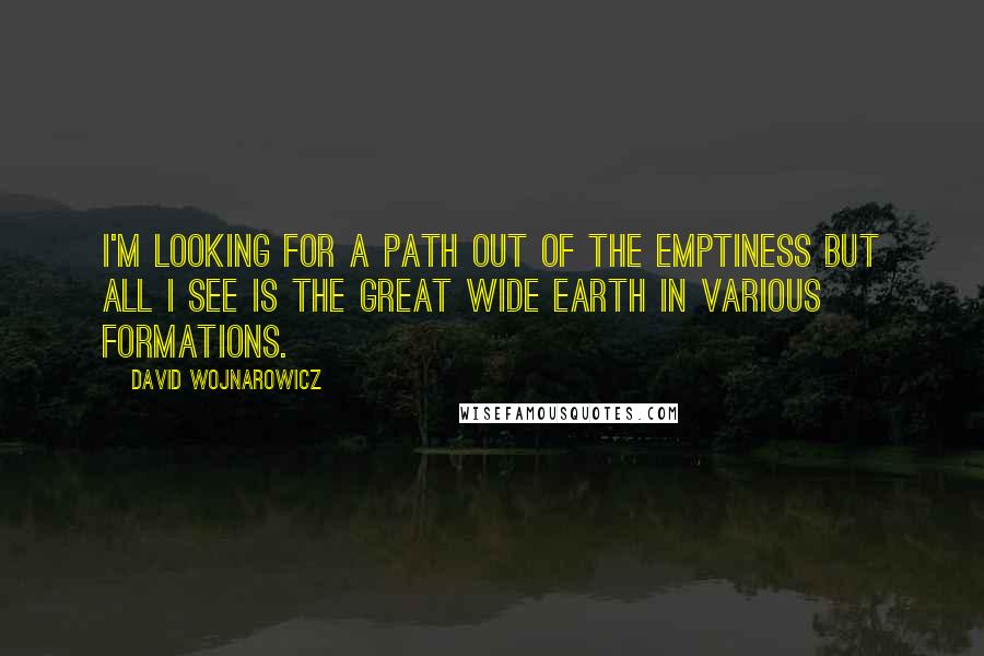 David Wojnarowicz Quotes: I'm looking for a path out of the emptiness but all I see is the great wide earth in various formations.